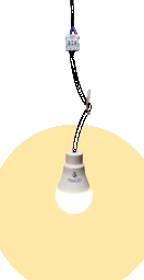 WTEED Baustellenbirne LED mit Anschlusskabel 9W 2700K, 810lm – APALED-27