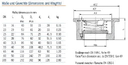 RITAG Ritag-Rs-Ventil Sr 70.16 DN50 – 9800000017