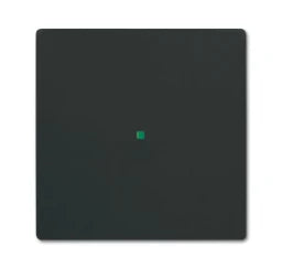 BUSCH-JAEGER @ Wippe 1-fach ohne Bedruckung div. Flächenprogramme, schwarz matt – 2CKA006220A0498