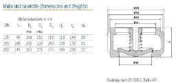 RITAG Ritag-Rs-Ventil Sr 10.16 DN150 – 9800000031