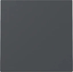 GIRA Wippe System 55 Anthrazit – 329628