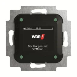 BUSCH-JAEGER DAB Plus Radio, Display Unterputz Einsatz – 2CKA008200A0275