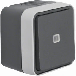BERKER Kontroll-Wechselschalter AP W.1 grau – 31763505