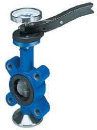 ARI ARI-GESA Absp.Klappe GGG Scheibe 1.4581 Mansch.EPDM PN16 DN 65 m.Rasterh.Anfl. – 2201300651911