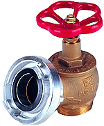 WBF Feuerventil Fig.283 2" m.C-Kupplung X – 205100-01