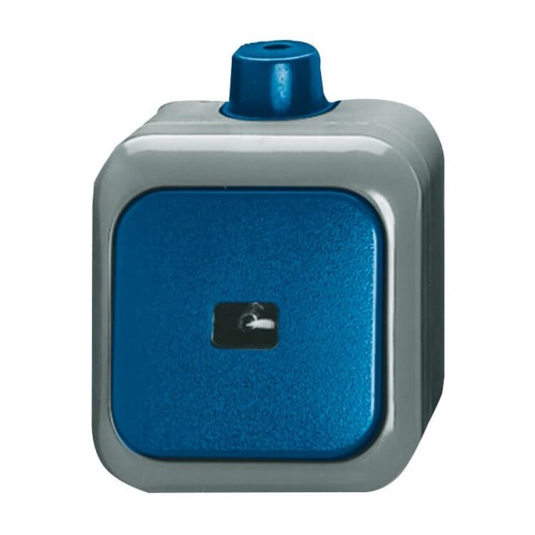 Wipptaster 1-polig Schließer mit N-Klemme 10A blau - Busch-Duro 2000 WDI – 2CKA001483A0171