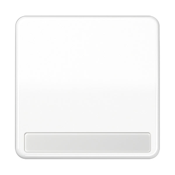 Wippe 1fach, mit Schriftfeld, Duroplast, Serie CD, alpinweiss – CD590NAWW