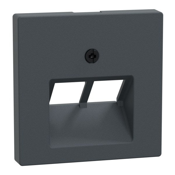 Zentralplatte für UAE-Einsatz, 2fach, anthrazit, System M – 298014
