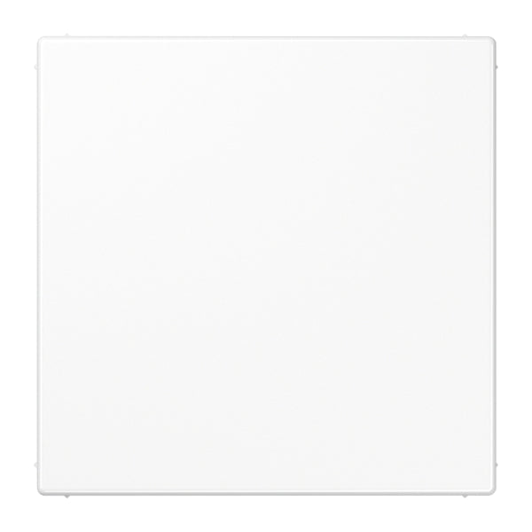 Blind-Abdeckung (gerastet), Thermoplast, Serie LS, alpinweiss – LS994BWW