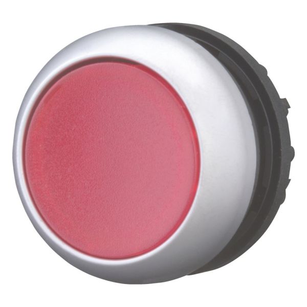 Leuchtdrucktaste, RMQ-Titan, flach, rastend, rot, unbeschriftet, Frontring Titan – 216946