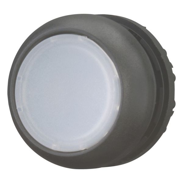 Leuchtdrucktaste, RMQ-Titan, flach, tastend, weiß, unbeschriftet, Frontring Schwarz – 216924