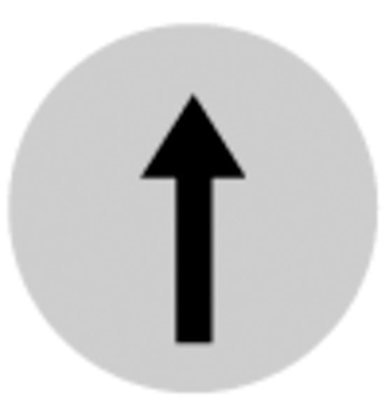 Tastenlinse, flach weiß, Symbol Pfeil – 218305