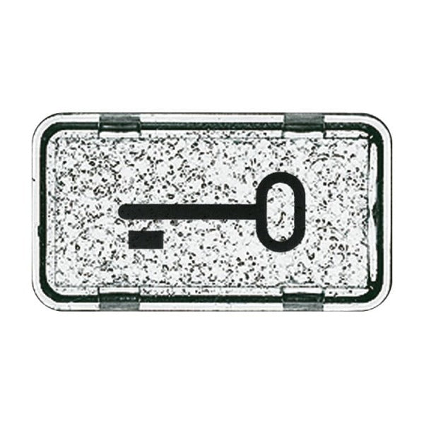 Tastersymbol mit Symbol ''Schlüssel'' transparent klar - Allwetter 44 (IP44)/ocean – 2CKA001714A0286