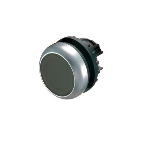 Drucktaste, RMQ-Titan, flach, rastend, schwarz, unbeschriftet, Frontring Titan – 216613