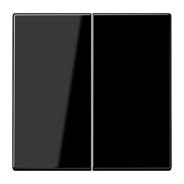 Wippe 2fach, Duroplast, Serie LS, schwarz – LS995SW