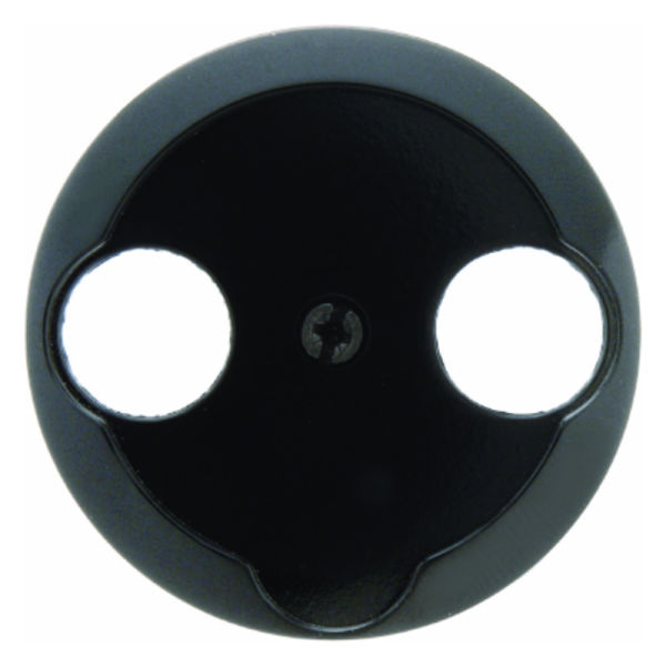 Serie 1930 Zentralstück für Antennendose schwarz glänzend – 103921