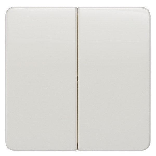 DELTA profil Wippe 2-fach neutral für Serienschalter, titanweiß – 5TG7805