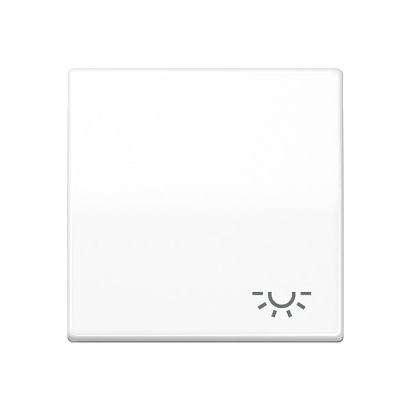 Wippe 1fach, Symbol Licht, Duroplast, Serie AS, alpinweiss – AS591LWW