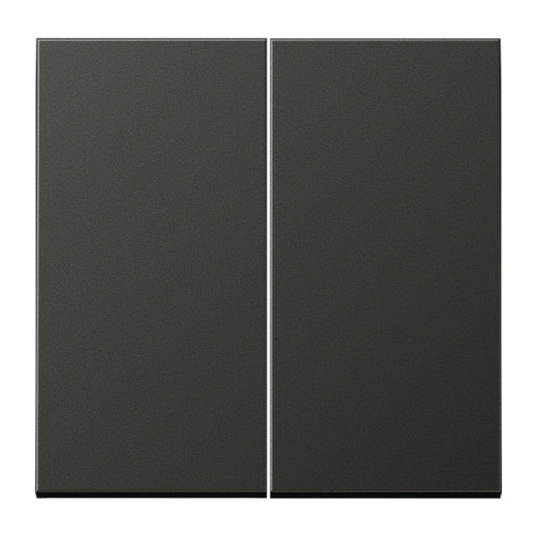 Wippe 2fach, Aluminium lackiert, Serie LS, anthrazit (lackiertes Aluminium) – AL2995AN