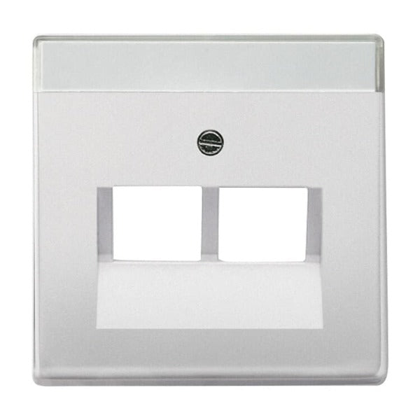 Zentralscheibe 2-fach UAE-Anschlussdose edelstahl - pur edelstahl – 2CKA001710A3764
