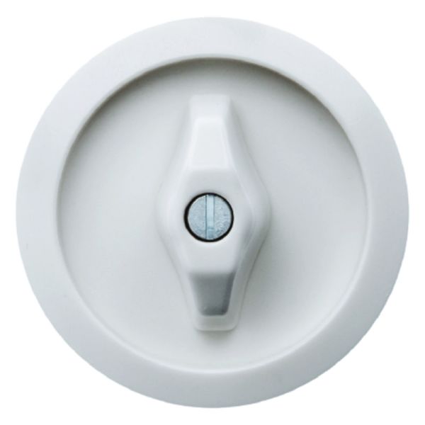 Serie 1930 Zentralstück für Dreh- schalter/-taster polarweiß glänzend – 1647