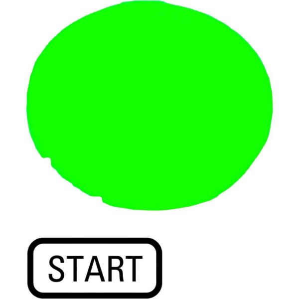Tastenlinse, flach grün, START – 218328