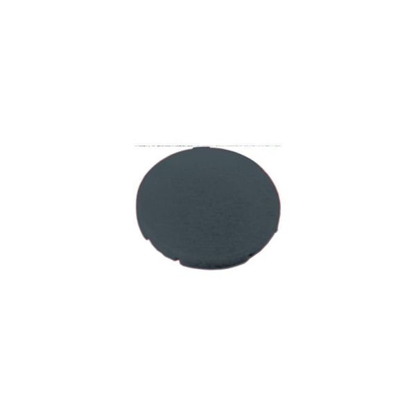 Tastenplatte, flach schwarz, blanko – 216421