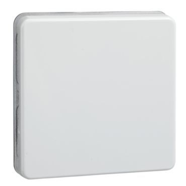 Wippe Universal,-Kreuzschalter/Taster FASHION/RIVA/SCALA reinweiß – 233604