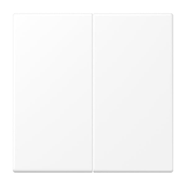 Steuertaste 2fach Standard, Duroplast lackiert, Serie LS, schneeweiss matt – LS1702WWM
