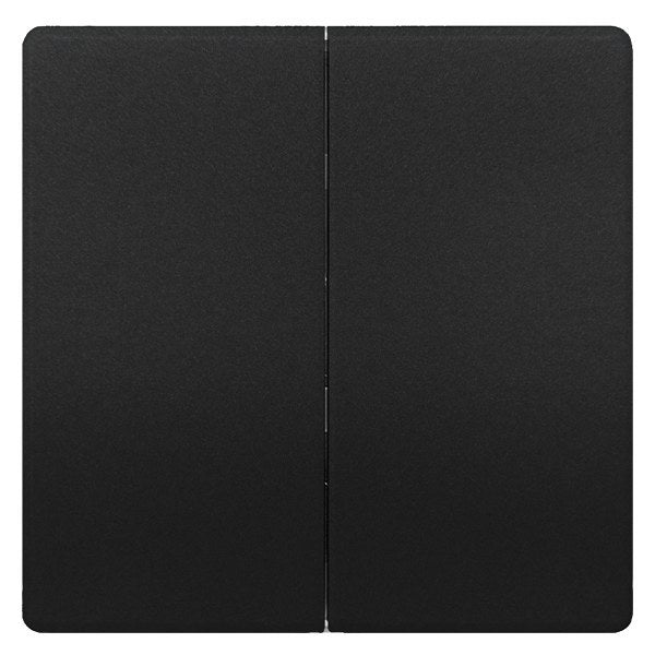 DELTA style Wippe 2-fach neutral für Serienschalter, anthrazit – 5TG71450AC00