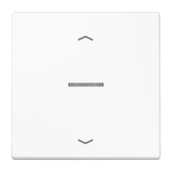 MS! JUNG HOME Taster 1fach, mit Pfeilsymbolen, Duroplast, Serie LS, alpinweiß – BTLS17101PWW