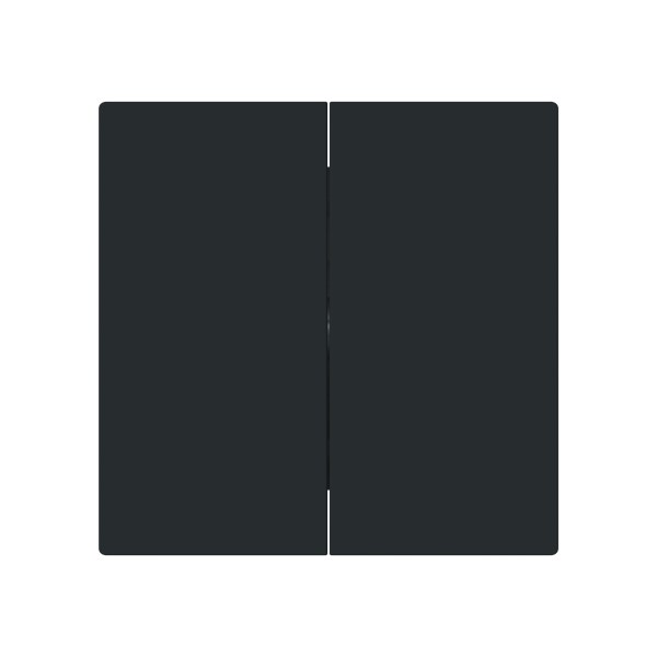 Wippe 2-fach schwarz matt - art linear – 2CKA001751A3388