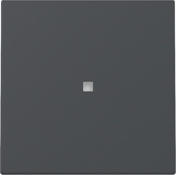 Wippe Kontrollf. System 55 Anthrazit – 329028