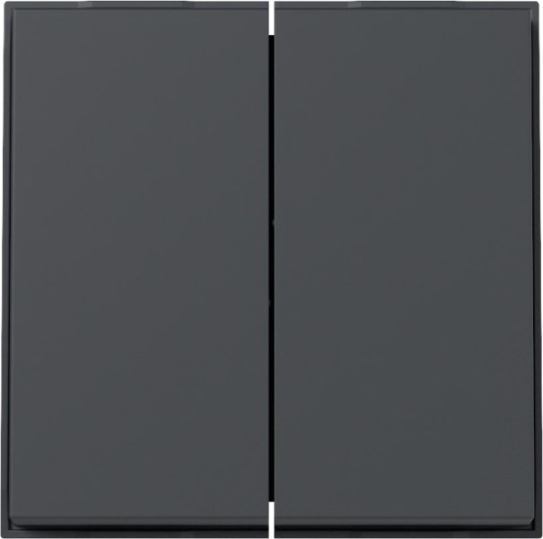 Wippe 2f Gira TX_44 (WG UP) Anthrazit – 329567