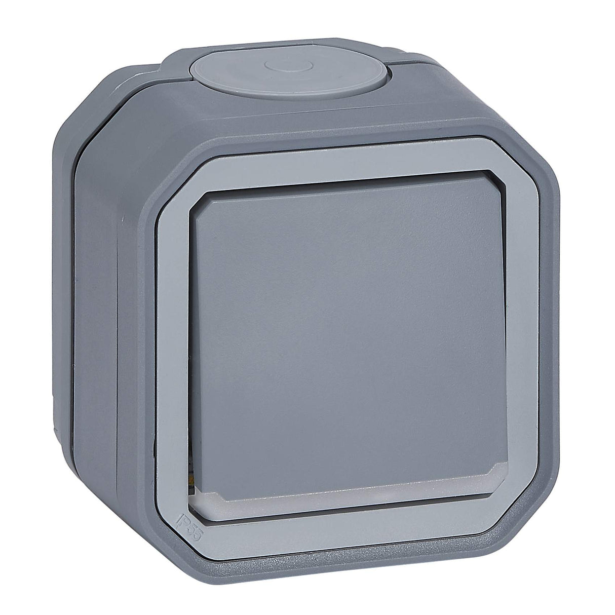 LEGRAND FR AP 2poliger Schalter Kontroll 10 AX, Steckklemmen, IP55, IK08, Grau – 069726L