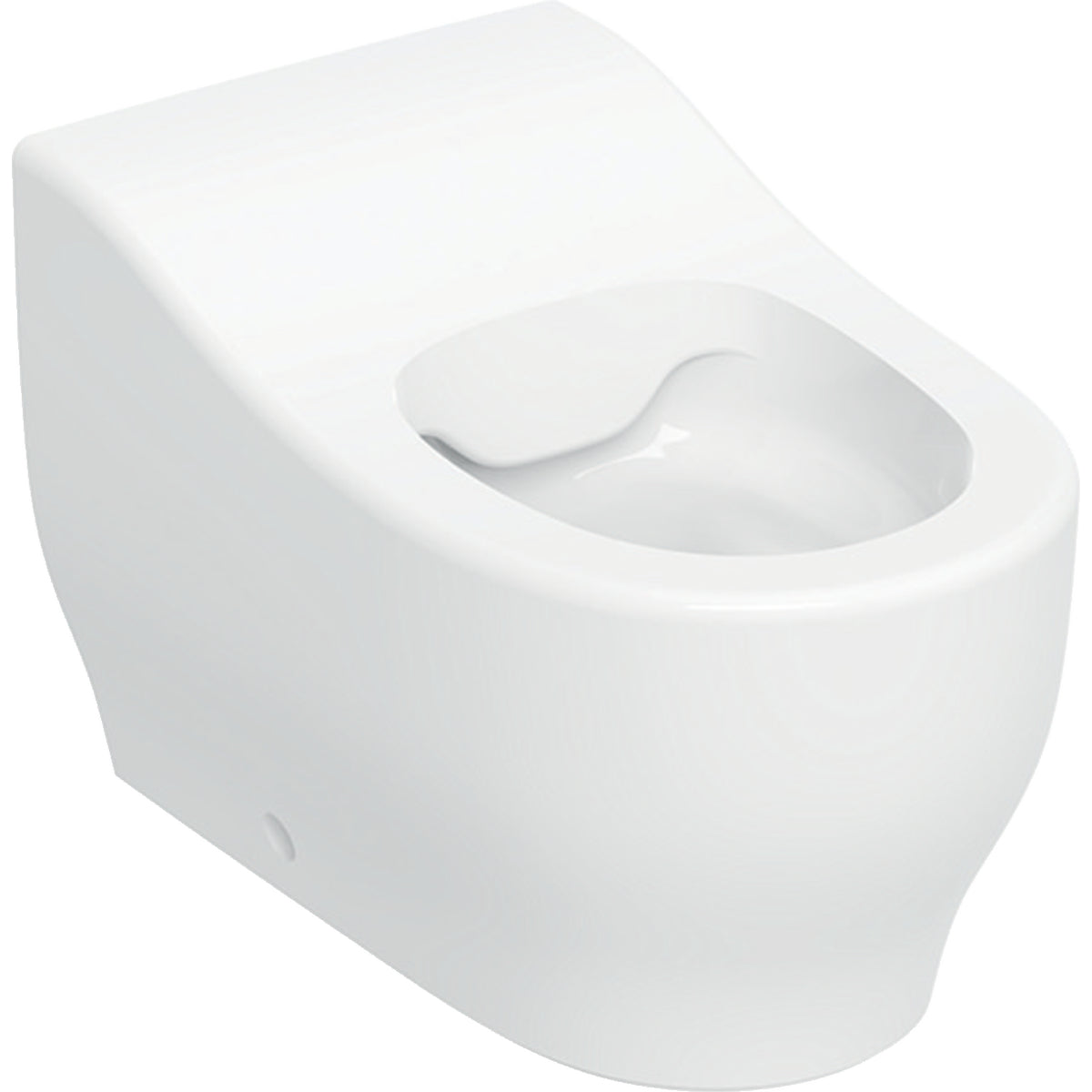 GEBERIT SANITAER Geberit Bambini SWC-T H24 Rimfree, Abgang horizontal – 502.965.00.1