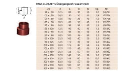 PREIS PAM GLOBAL S Übergangsrohr exzentrisch DN 150 x 100 – 10147