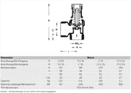 RESIDEO Resideo Membran-Sicherheitsventil SM120 Messing, 1 1/4 ", 3 bar, B – SM120-11/4B