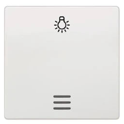 SIEMENS Wippe mit Fenster und Symbol Licht DELTA i-system, titanweiß – 5TG6206