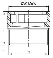 HAWLE ZAK 46 Übergangsstück Fig.6189 2" AG – 5005891