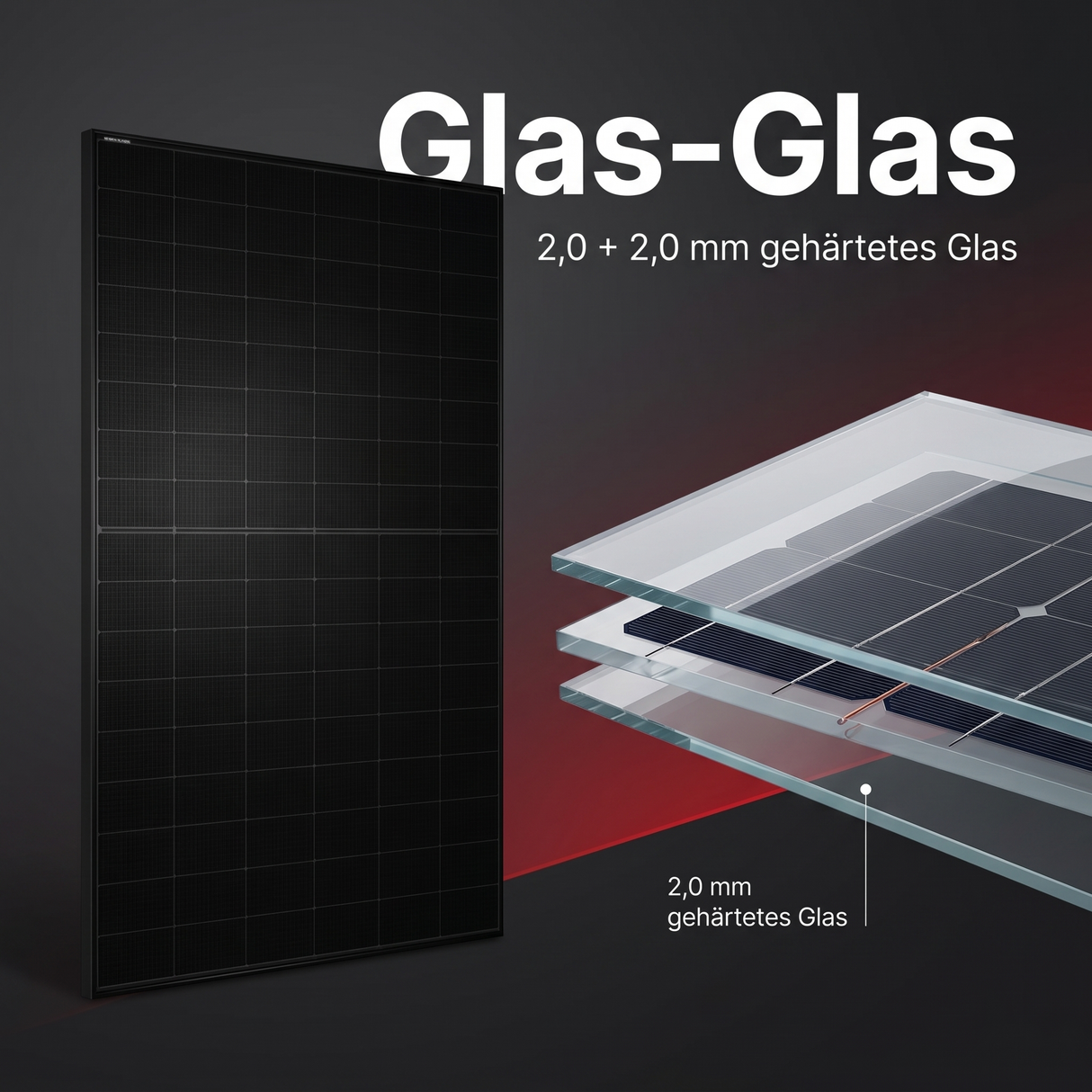 Tongwei TWMNH-48HE-455 – Glas-Glas Konstruktion