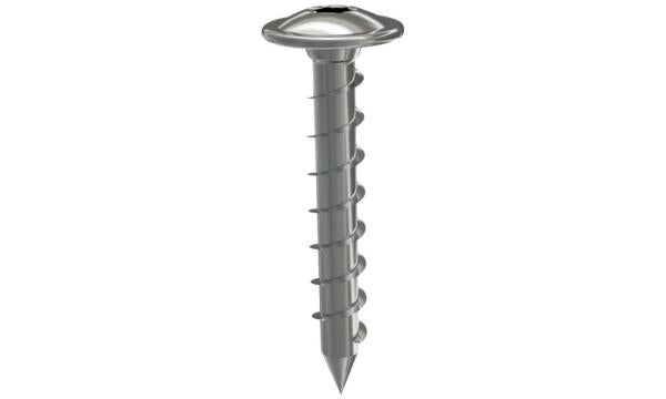 Arres Befestigungsschraube 6x30 V2A - 103.501.003