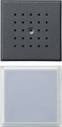 GIRA Türstation 1f UP TX44 (Unterputz IP44) anthrazit   – 126067