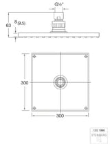 STEINBERG Steinberg Regenbrause 300x300x8mm  – 120 1686