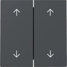 GIRA Wippe 2f Pfeile System 55 Anthrazit  – 329728