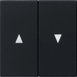 GIRA Wippe 2fach mit Pfeilsymbol System 55 schwarz matt   – 0294005