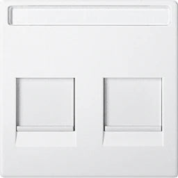 MERTEN Zentralpl. f. Modular Jack 2f. m. Schrif tf. u. Staubschutzsch., polarws., Sys. M  – MEG4564-0419