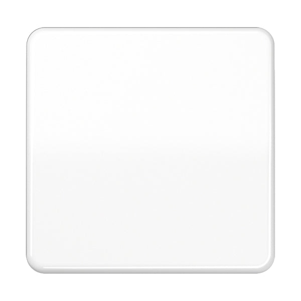 Wippe 1fach, Duroplast, Serie CD, alpinweiss – CD590WW