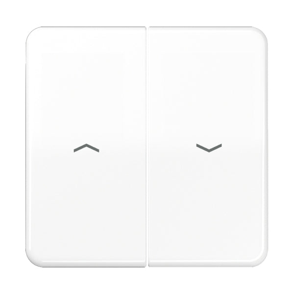 Wippe 2fach, mit Pfeilsymbolen, Duroplast, Serie CD, alpinweiss – CD595PWW