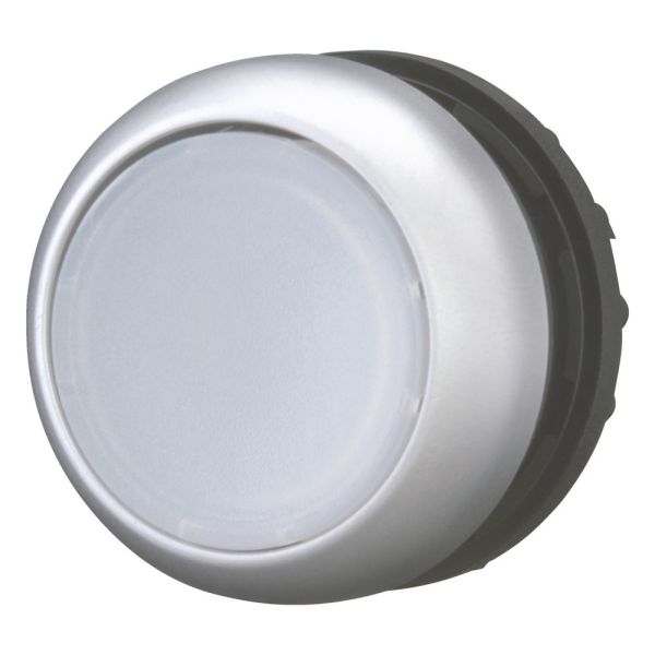 Leuchtdrucktaste, RMQ-Titan, flach, rastend, weiß, unbeschriftet, Frontring Titan – 216944